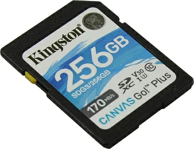 Карта памяти Kingston SDG3/256GB SDXC Memory Card 256Gb V30 UHS-I U3