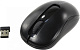 Манипулятор RAPOO Wireless Optical Mouse M10 Black USB 3btn+Roll 10925>