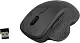 Манипулятор JETACCESS Wireless Optical Mouse OM-U65G Grey (RTL) USB 6btn+Roll беспроводная