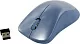 Манипулятор CANYON Wireless Optical Mouse CNE-CMSW11BL (RTL) USB 3btn+Roll