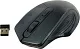 Манипулятор CANYON Wireless Mouse CNE-CMSW15DB (RTL) USB 4btn+Roll