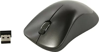 Манипулятор CANYON Wireless Optical Mouse CNS-CMSW911DG (RTL) USB 3btn+Roll