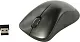 Манипулятор CANYON Wireless Optical Mouse CNS-CMSW911DG (RTL) USB 3btn+Roll