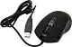 Манипулятор Гарнизон Optical Mouse GM-780G USB (RTL) 6btn+Roll